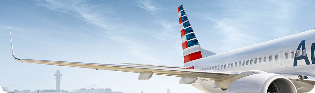 Food and drink served on American Airlines flights